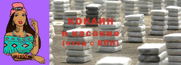 гашик Пестово