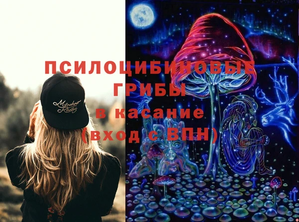 крисы Аркадак