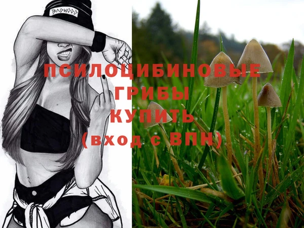 гашик Пестово