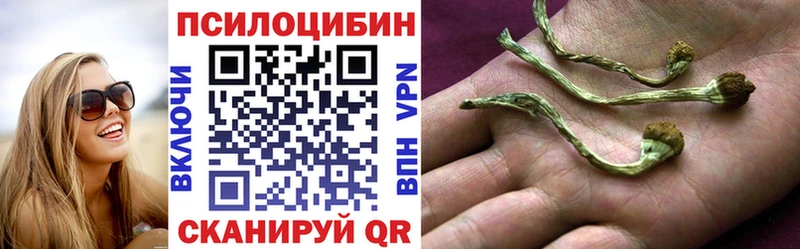 mega ссылки  Канск  Галлюциногенные грибы мицелий 